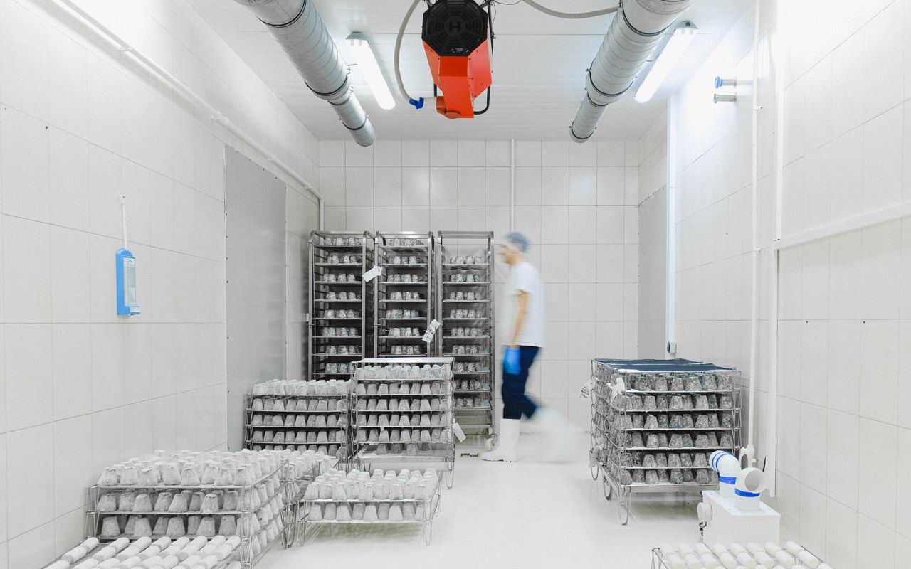 Refrigerated cold-storage facility interior